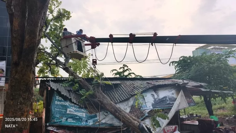 adi-angin-3505631029