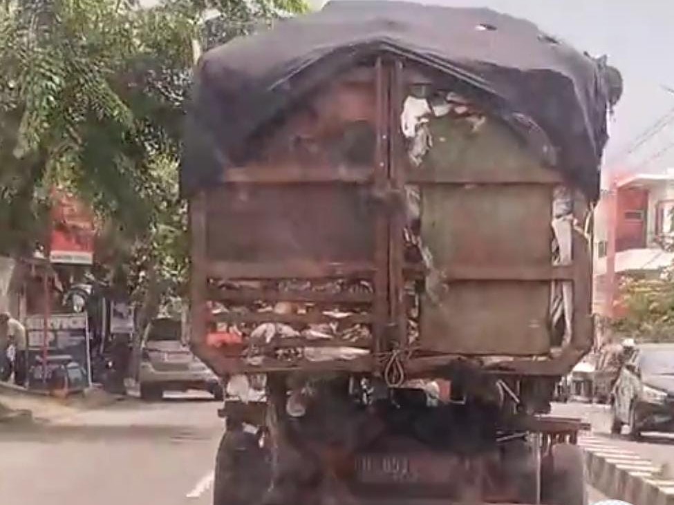 WhatsApp-Image-2025-05-18-at-21.01.13