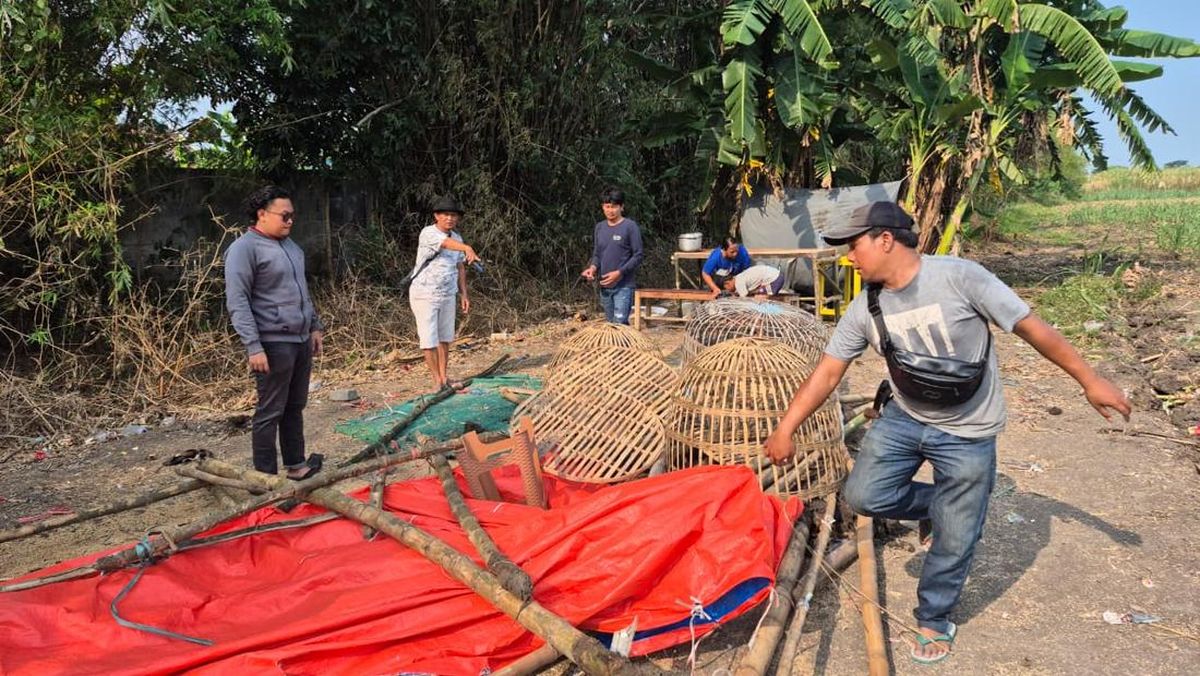 arena-sabung-ayam-di-mojokerto-1758533638914_169